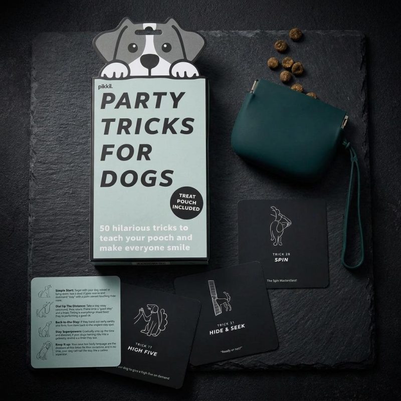 Interactive Puppy Party Trick Training Set