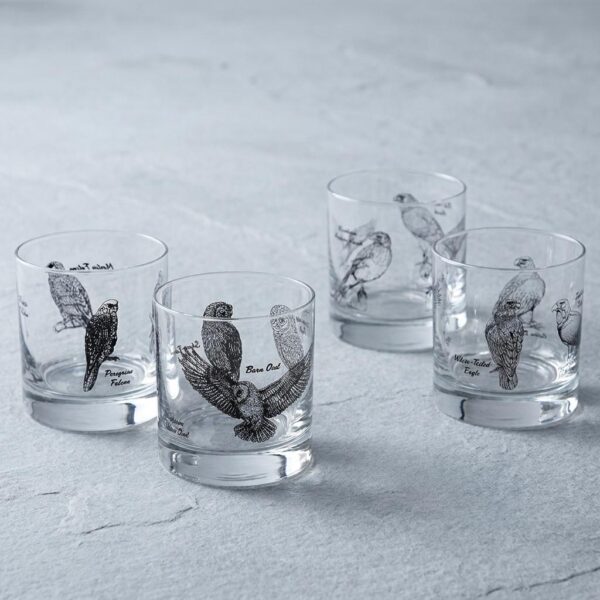 Premium Birds Of Prey Rocks Glass Set