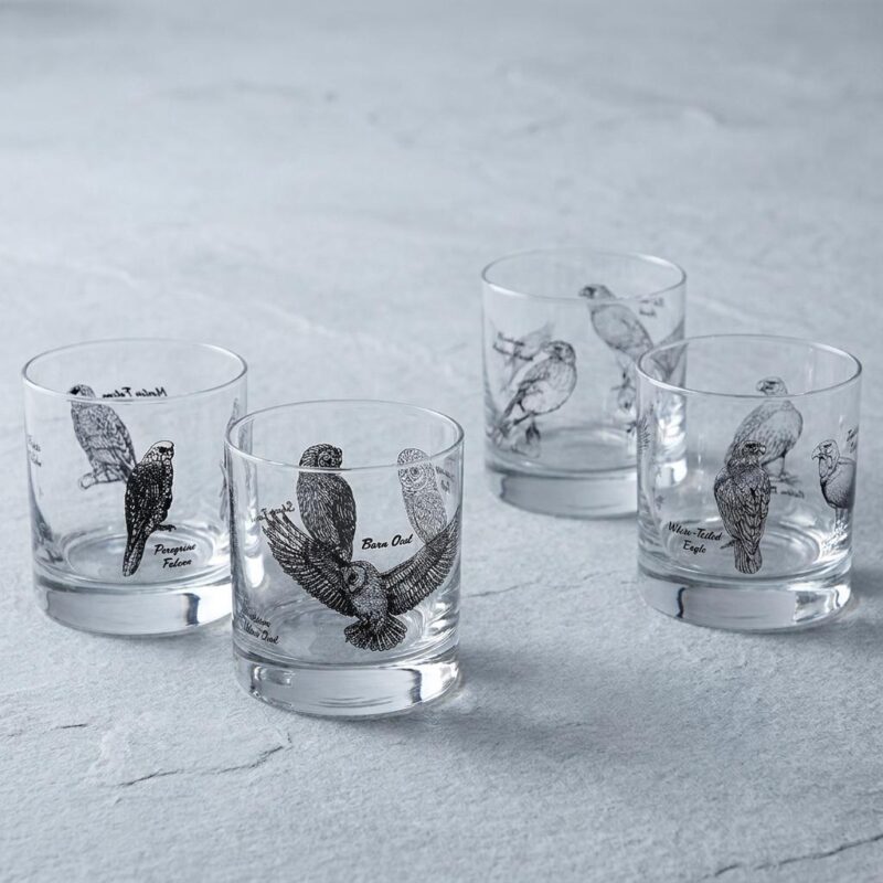 Premium Birds Of Prey Rocks Glass Set