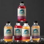 Premium Handcrafted Cocktail Mixer Flight 1