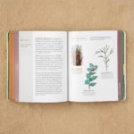 Scenic Science Of The National Parks Paperback Guide 2