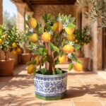 Vibrant Meyer Lemon Pop Up Greeting Card 1