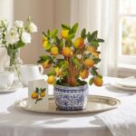 Vibrant Meyer Lemon Pop Up Greeting Card