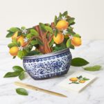 Vibrant Meyer Lemon Pop Up Greeting Card 23